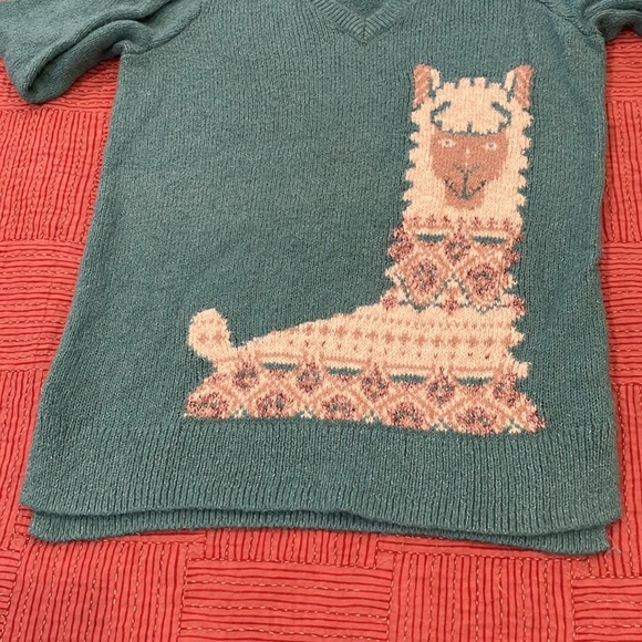 Women’s size small Hollister Alpaca / llama/ Design Teal Sweater - Picture 12 of 15